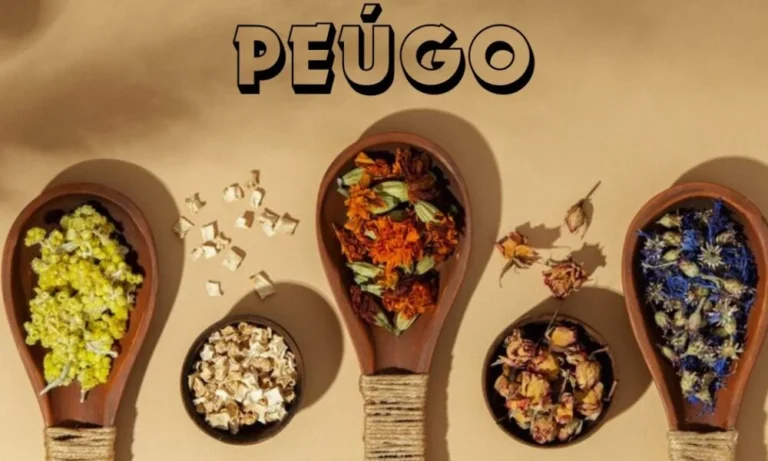 Peúgo: A Comprehensive Guide